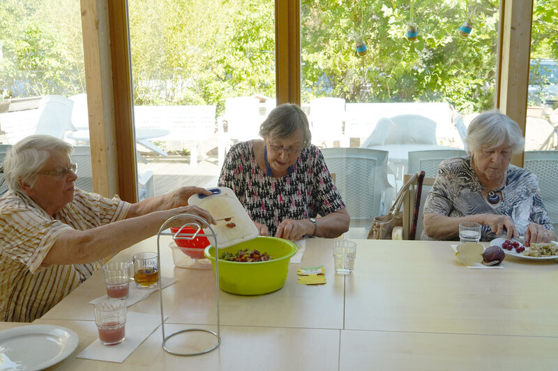 tagespflege sonne brambor pflegedienst senioren kochen