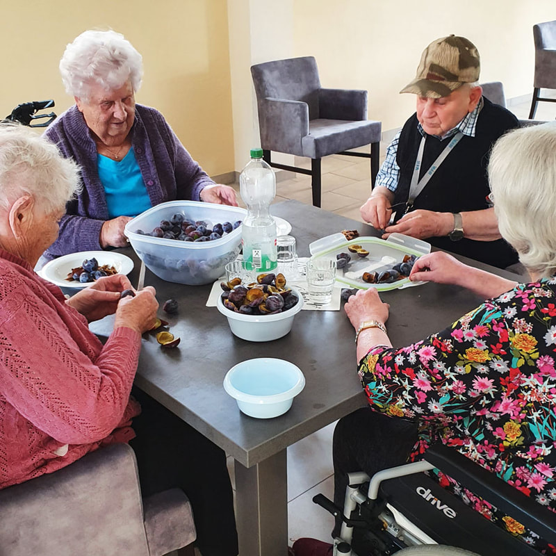 brambor pflegedienst betreutes wohnen ostrau seniorengerechtes wohnen backen und kochen