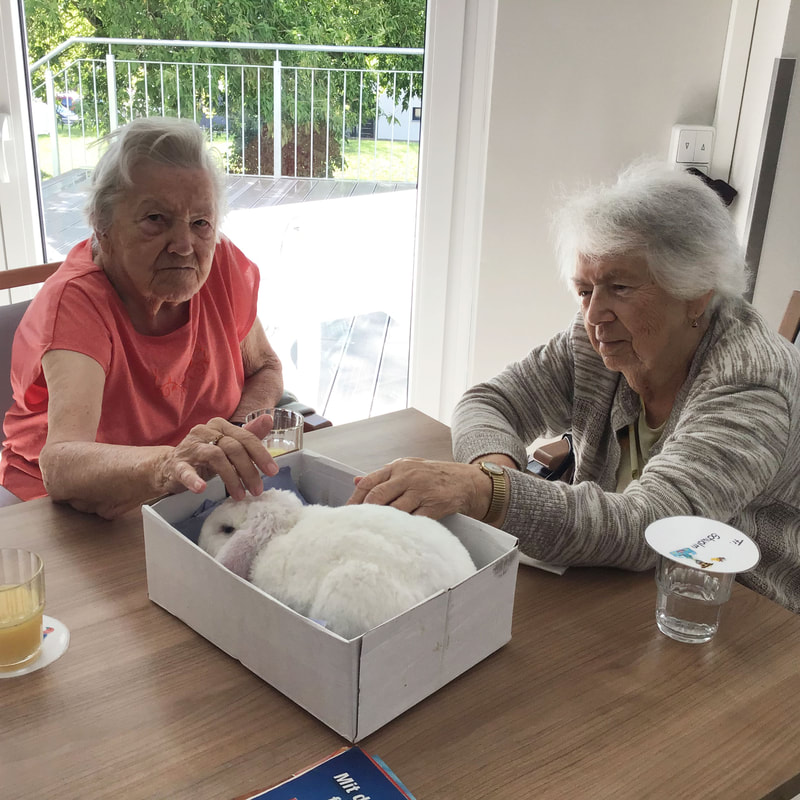 Brambor Pflegedienstleistungen Tagespflege Sonnenterrassen Aktivierung Senioren Doebeln