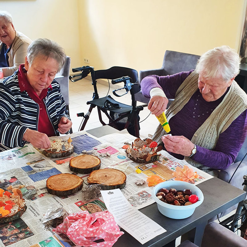 brambor pflegedienst betreutes wohnen ostrau seniorengerechtes wohnen aktiv