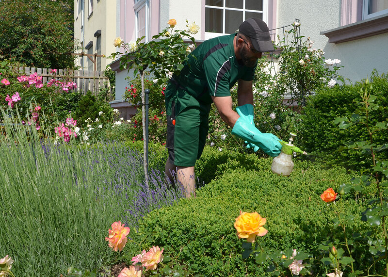 Brambor Pflegedienstleistungen Gartenpflege Garten Rosswein 2020