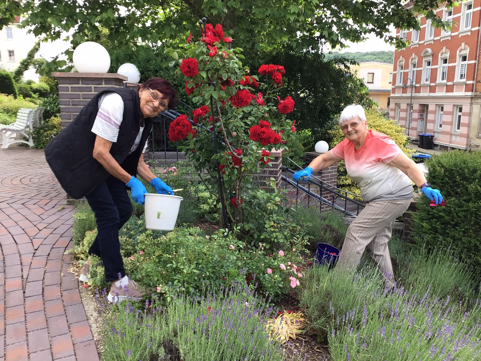 Gemeinsam geht’s besser: Blumenpflege in der Tagespflege Roßwein