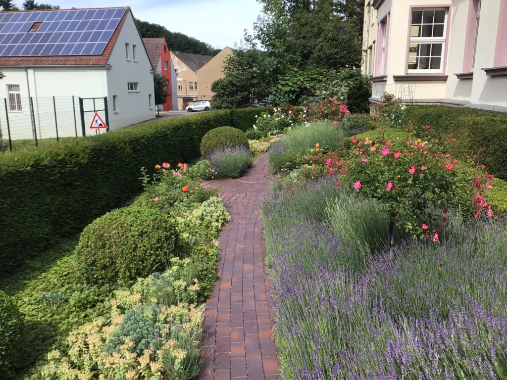 Blumenpflege in der Tagespflege Roßwein, Foto 5