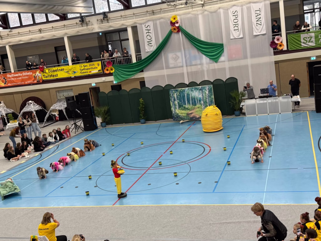 32. Döbelner Tanzfest, Foto 4
