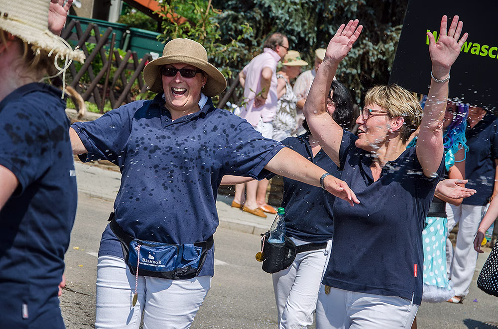 Rückblick auf frühere Festumzüge in Roßwein, Foto 16
