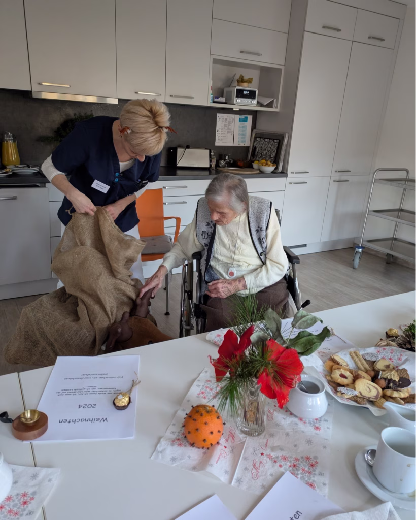 Weihnachtsprogramm mit Elch und Sternschnuppen, Foto 2